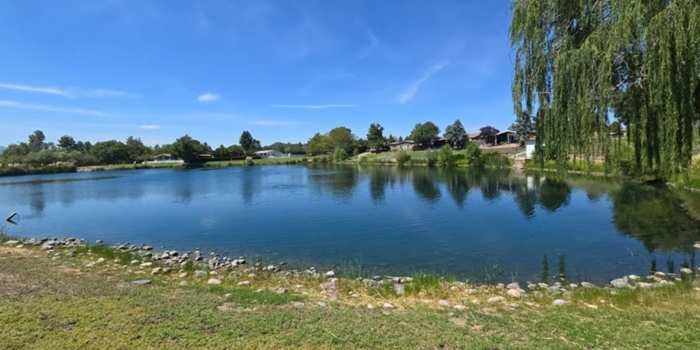 Woodland Meadows