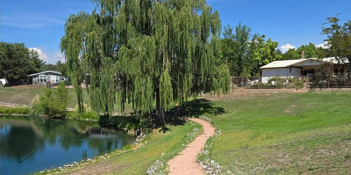 Woodland Meadows